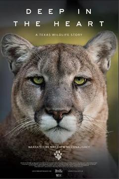 免费在线观看《深入核心：德克萨斯野生动物的故事》
