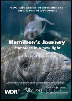 免费在线观看《Hamiltons Journey: Manatees in a New Light》