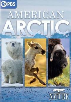 免费在线观看《American Arctic》