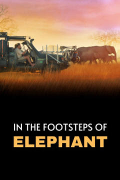 免费在线观看《《大象》幕后特辑》