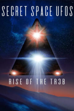免费在线观看《Secret Space UFOs Rise of the TR3B》
