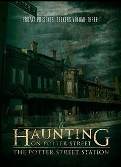 免费在线观看《A Haunting on Potter Street: The Potter Street Station 2012》