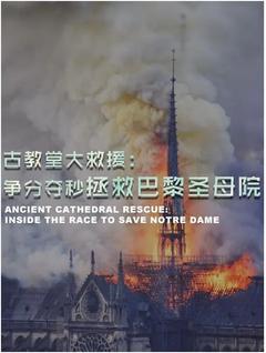 免费在线观看《古教堂大救援：争分夺秒拯救巴黎圣母院》