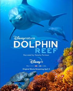 免费在线观看《海豚礁》