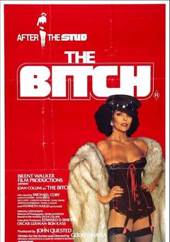 免费在线观看《The Bitch》