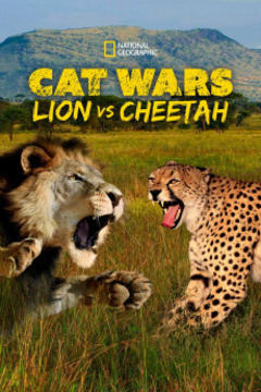 免费在线观看《猫科大战：狮子VS猎豹》