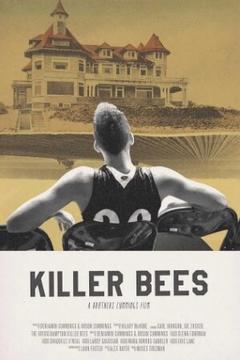 免费在线观看《杀手蜜蜂》
