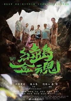 免费在线观看完整版台湾剧《绿岛金魂》