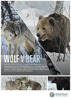 免费在线观看《狼与熊》