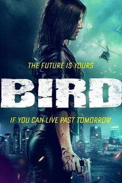免费在线观看《惊弓之鸟 2020》