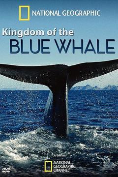 免费在线观看《蓝鲸王国》