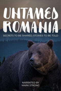 免费在线观看《野性的罗马尼亚》