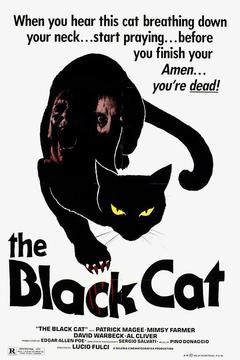 免费在线观看《黑猫 1981》