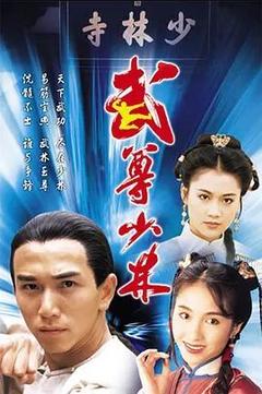 免费在线观看完整版香港剧《武尊少林 1993》