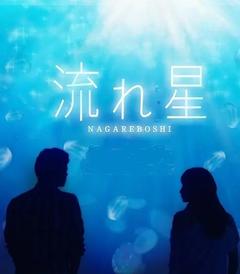 免费在线观看完整版日本剧《流星 2010》