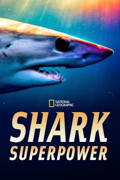 免费在线观看《超能鲨》