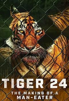 免费在线观看《老虎 24》