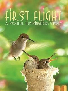 免费在线观看《第一次飞行：蜂鸟妈妈的故事》