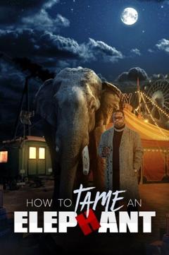 免费在线观看《如何驯服大象》