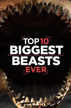 免费在线观看《十大巨兽排行榜 2015》