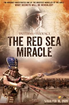 免费在线观看《证据模式：红海奇迹》