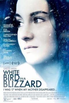 免费在线观看《暴风雪中的白鸟 2014》