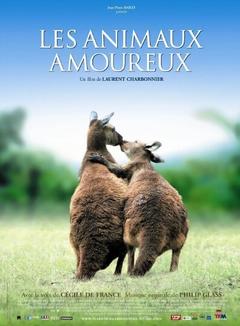 免费在线观看《动物之爱》
