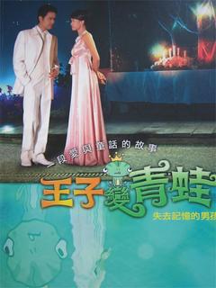 免费在线观看完整版台湾剧《青蛙变王子》