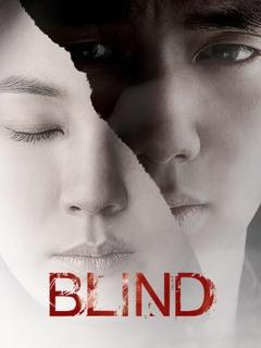 免费在线观看《盲证 2011》