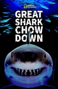 免费在线观看《鲨鱼进食秀》