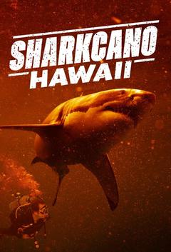 免费在线观看《鲨鱼卡诺：夏威夷》