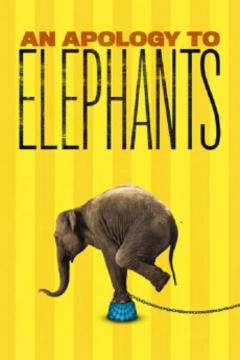 免费在线观看《抱歉啊，大象 2013》