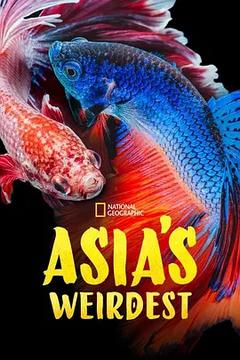 免费在线观看完整版海外剧《亚洲最奇异》