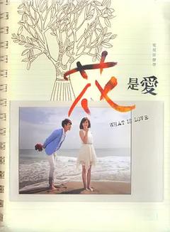 免费在线观看完整版台湾剧《花是爱》