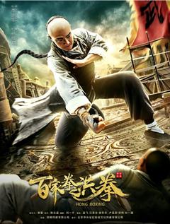 免费在线观看《百家拳之洪拳》