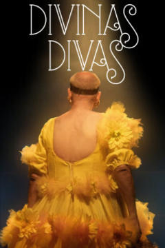 免费在线观看《Divinas Divas》
