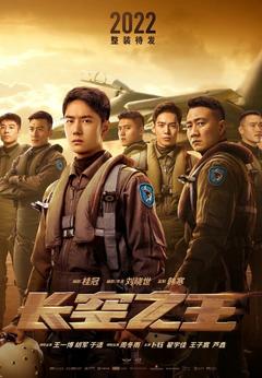 免费在线观看《长空之王 2023》