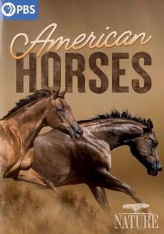 免费在线观看《American Horses》