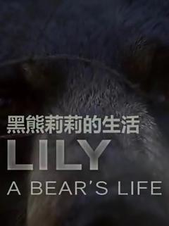 免费在线观看《莉莉 一头熊的生活》