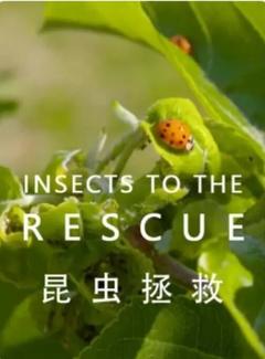免费在线观看《昆虫拯救》