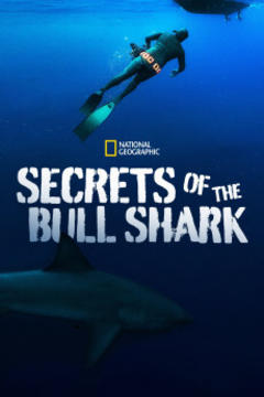 免费在线观看《牛鲨的秘密》