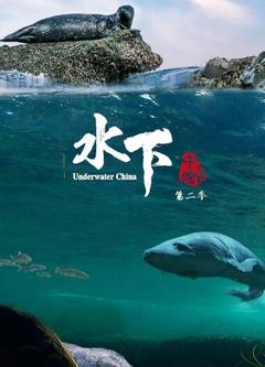免费在线观看《水下中国 第二季》