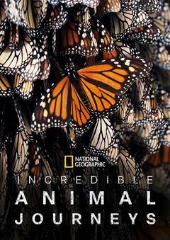 免费在线观看完整版欧美剧《不可思议的动物之旅》