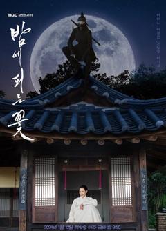 免费在线观看完整版韩国剧《夜晚开的花》