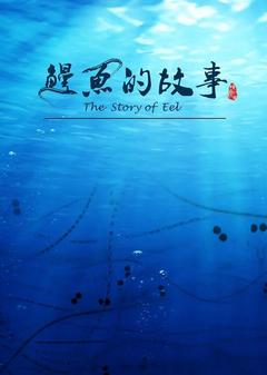 免费在线观看完整版国产剧《鳗鱼的故事》