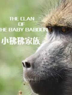 免费在线观看《小狒狒家族》