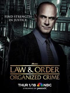 免费在线观看完整版欧美剧《法律与秩序：组织犯罪 第四季》