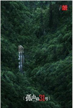 免费在线观看完整版国产剧《孤山路31号》