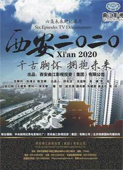 免费在线观看完整版国产剧《西安2020》