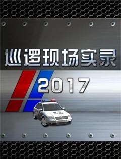 免费在线观看完整版国产剧《巡逻现场实录 2017》